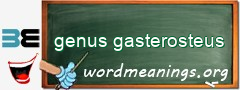 WordMeaning blackboard for genus gasterosteus